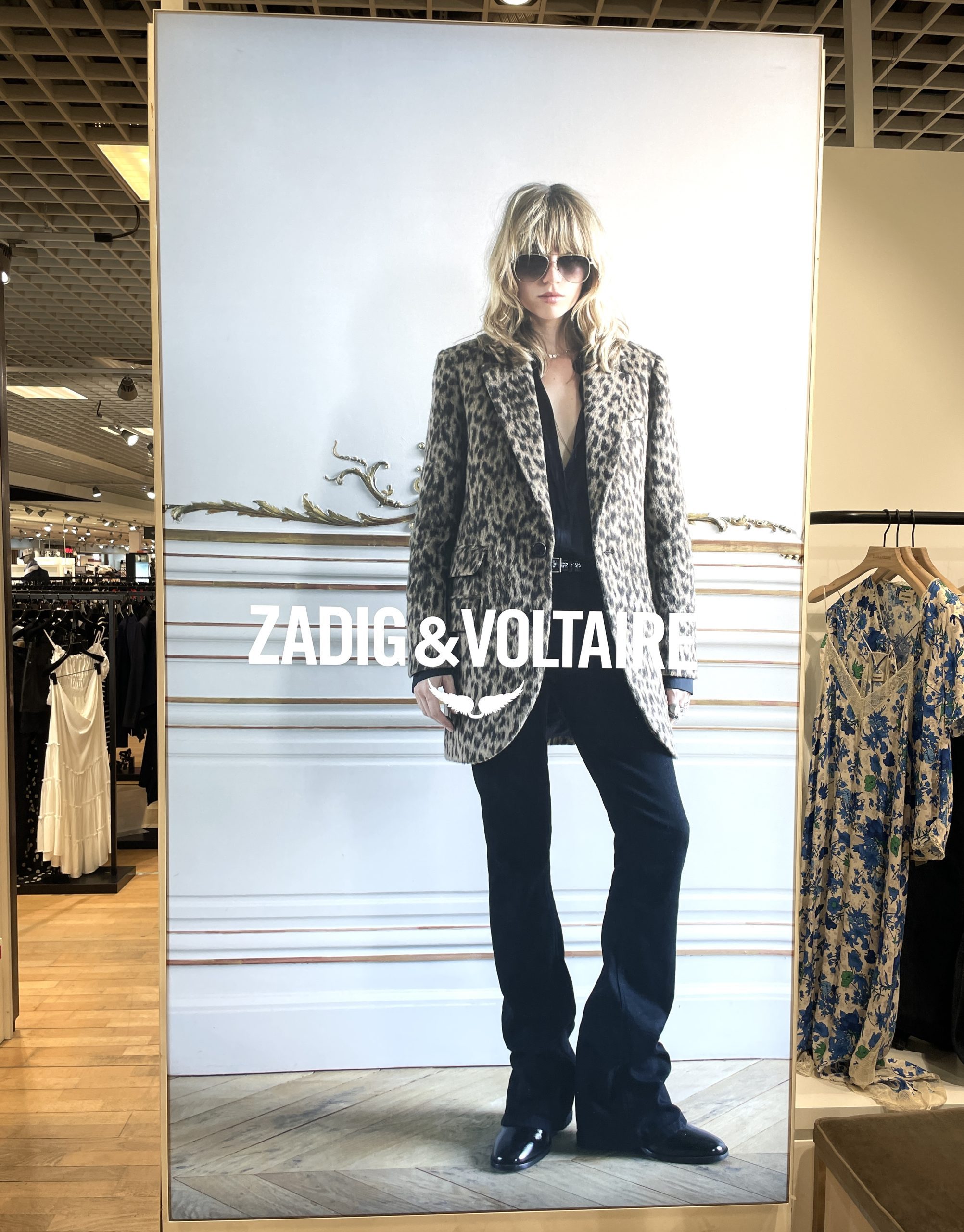 zadig